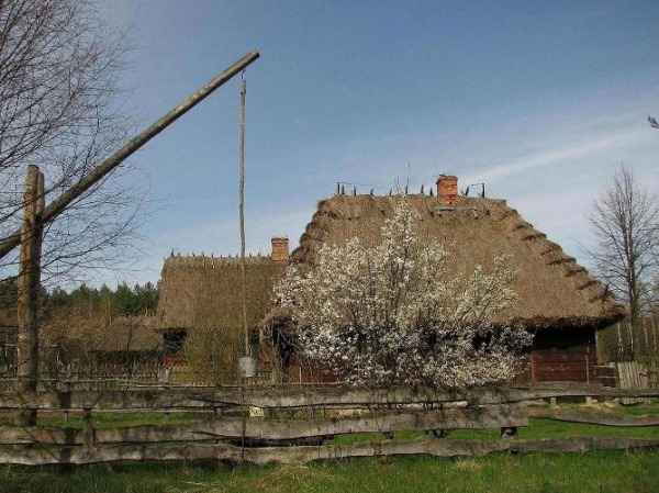 До сих пор в Белостокском музее-деревне было 33 здания, которые были разделены на три лесных, придворных и мелких дворянских сектора