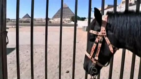 Масові заворушення в Єгипті дорого обходяться туристичної галузі