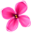 Як кажуть фахівці ботсаду, відрізнити декоративні квіти від звичайних можна за кількістю пелюсток