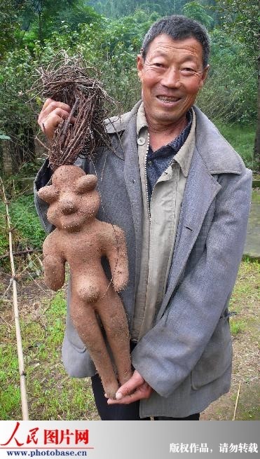 А ще він відомий як Polygonum multiflorum Thunb (горець багатоквітковий)