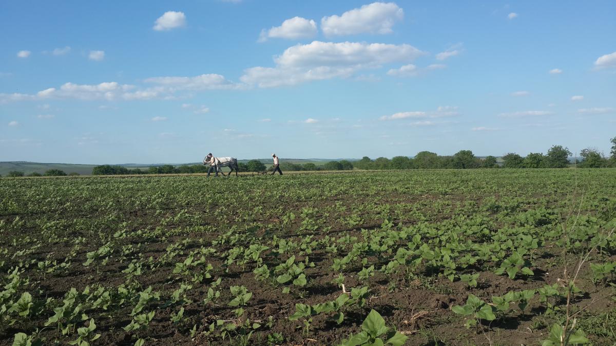 На щастя, для українців доступні чимало можливостей, щоб потрапити в Молдову - це і автобус, і поїзд, і літак