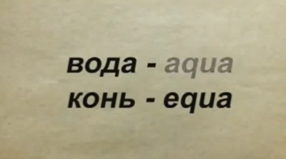 Чи не в коні, справа, а в схожості написання деяких латинських слів: