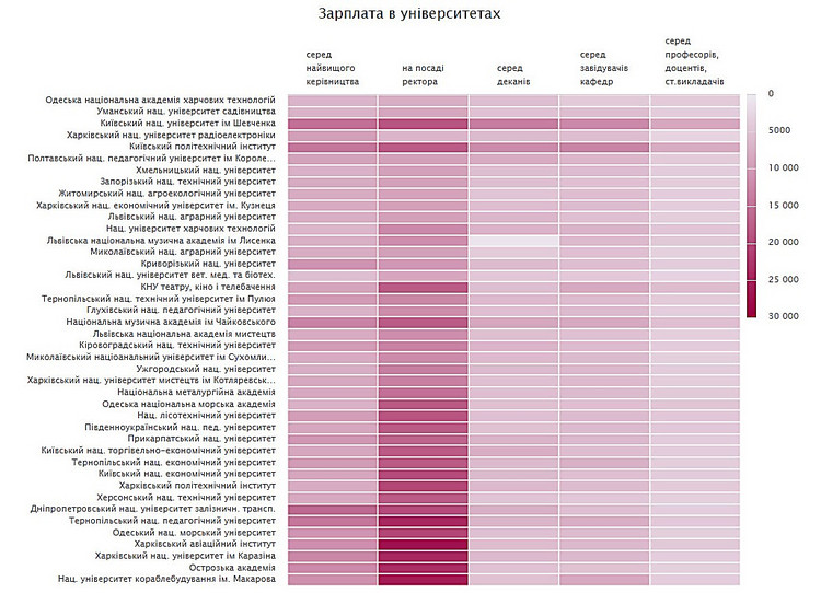 Поки Рижков отримував 26 з гаком тисяч щомісячної зарплати, викладачам (професорам, доцентам і старшим викладачам) платили в середньому 3 тисячі 768 гривень