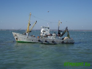 Ще недавно Азовське море більш ніж в 6 разів перевершувало по рибопродуктивності Каспійське