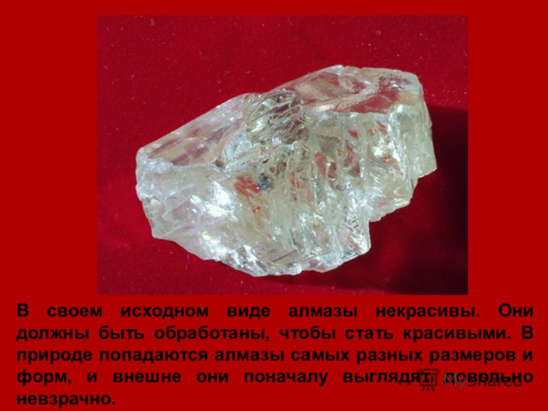 Віжай