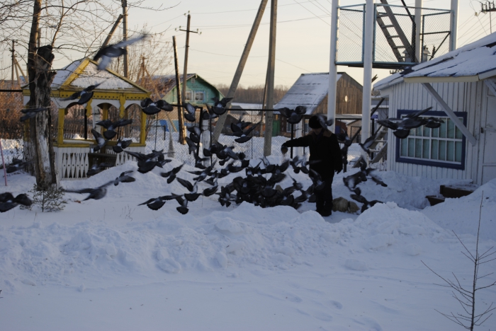 Наші голуби триматися своєю зграєю, знають час годування, і ми помічали, що вони в святковий день клювати зерно починають тільки після закінчення літургії, - розповідає службовець храму