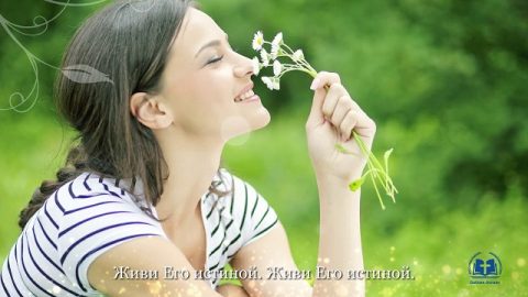 Читати далі