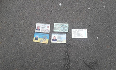 У селі Лісники під Києвом професор Національної академії внутрішніх справ, кандидат юридичних наук і старший науковий співробітник Олександр Козаченко, будучи нетверезим за кермом «Lexus», в'їхав в огорожу