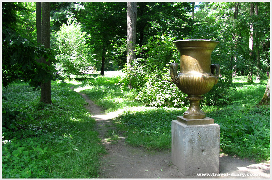 При нас лебідь зі свого будиночка, посередині озера, підплив прямо до берега, але у нас нічого смачненького для нього на жаль не було