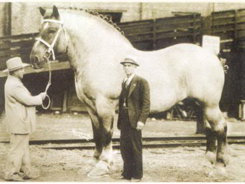 Судьба Шайр нерозривно пов'язана з історією Англії