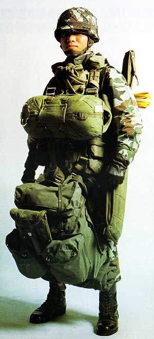 У 1944 році 1-а і 3-я групи проводили обмежені операції в Китаї