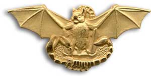 Абордажна група Tokubetsukeibitai є спеціальним підрозділом японських морських сил самооборони