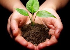 У ряді країн День Співдружності є державним святом, а в інших державах-членах в цей день проводяться тематичні заходи і повсюдно церемонії підняття прапора Співдружності