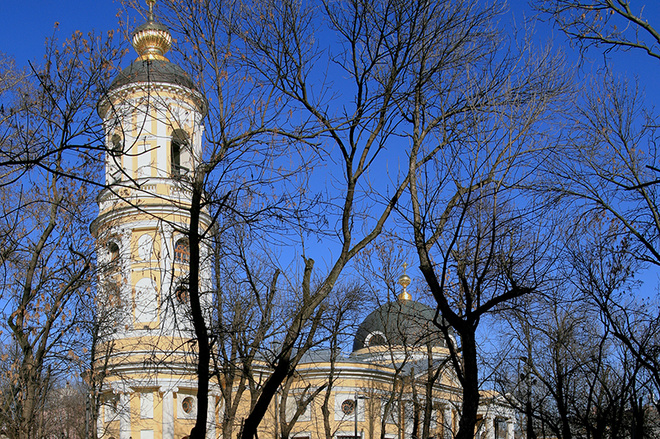 Ікона Божої Матері Всіх скорботних Радість - історія
