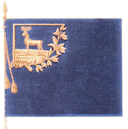 Прапор Ростовського піхотного полку зразка 1731 р