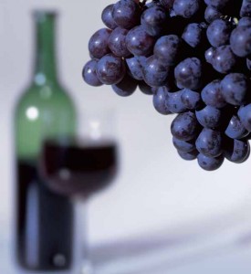 Робити виноградне вино можна практично з будь-якого винограду