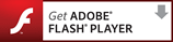 To play this game, please, download the latest Flash player