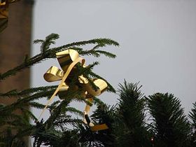 Фото: Христина Макова   І, звичайно, я вважаю чудовим те, що в Чехії збереглися традиції святкування Різдва, як складова і невід'ємна частина культури цього народу
