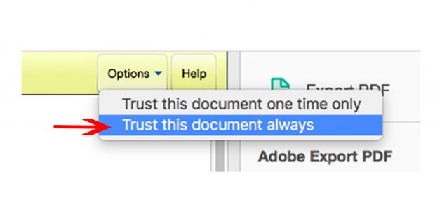 Потім потрібно вибрати в правому верхньому куті кнопку «Довіряти цьому документу завжди» і знову ввести свої дані