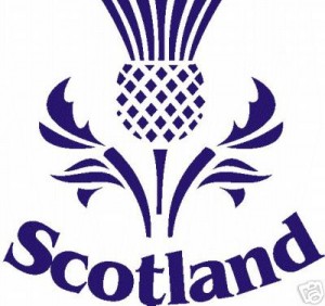 Протягом багатьох століть емблемою Шотландії є чортополох
