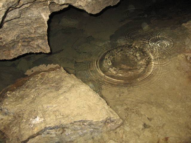 Відтепер шанувальники подорожей по підземних лабіринтах можуть скупатися в підземному озері, відкритому в минулому році в одній з печер Тернопільщини